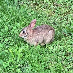 Meet your Posher, Zoe